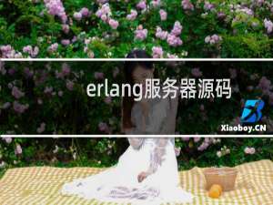 erlang服务器源码