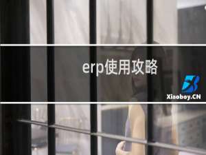 erp使用攻略