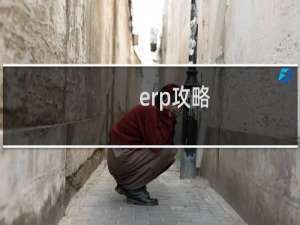 erp攻略