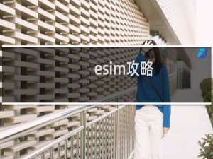 esim攻略