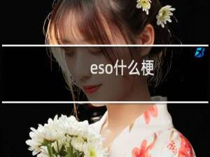 eso什么梗