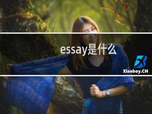 essay是什么（essay是什么意思）