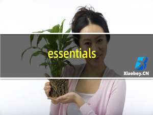 essentials是什么品牌中文名叫什么（ohayo品牌的中文名是什么）