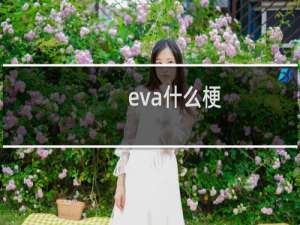 eva什么梗