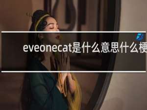 eveonecat是什么意思什么梗