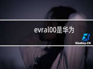 evr-al00是华为什么型号手机