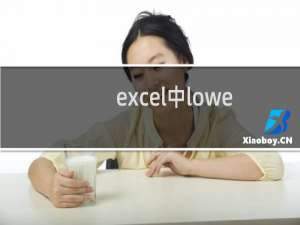 excel中lower函数有什么作用?怎么使用?