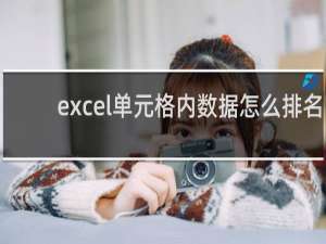 excel单元格内数据怎么排名