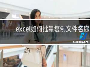 excel如何批量复制文件名称