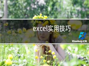 excel实用技巧：如何根据编号查出对应的信息？