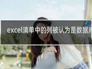 excel清单中的列被认为是数据库的