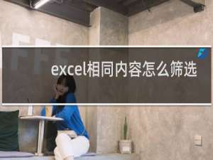 excel相同内容怎么筛选