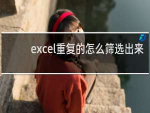 excel重复的怎么筛选出来