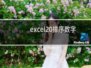 excel 排序数字1和10（excel 排序）