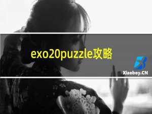 exo puzzle攻略