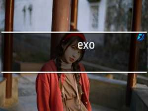 exo-s 攻略