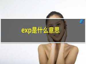 exp是什么意思