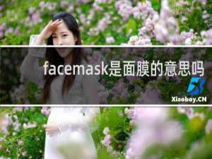 facemask是面膜的意思吗