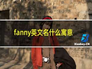 fanny英文名什么寓意