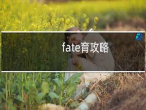 fate育攻略