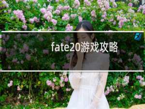 fate 游戏攻略