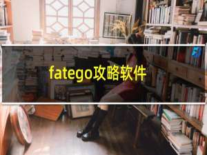fatego攻略软件