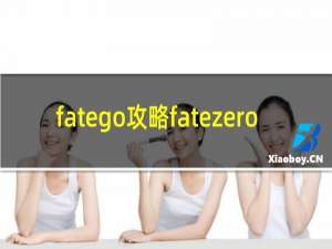 fatego攻略fatezero
