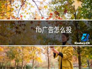 fb广告怎么投