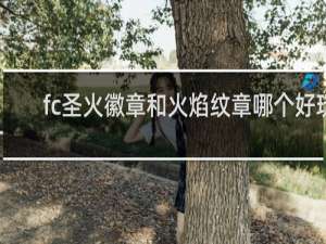 fc圣火徽章和火焰纹章哪个好玩
