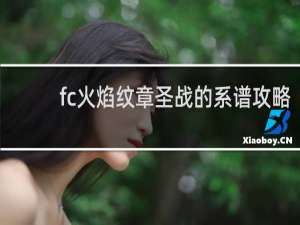 fc火焰纹章圣战的系谱攻略