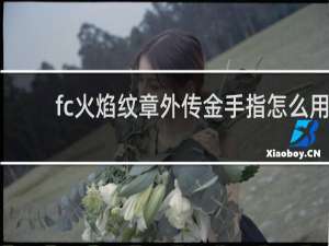 fc火焰纹章外传金手指怎么用