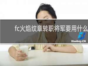 fc火焰纹章转职将军要用什么