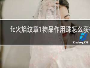 fc火焰纹章1物品作用珠怎么获得