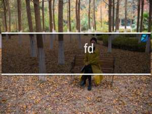 fd-2电脑版测试台