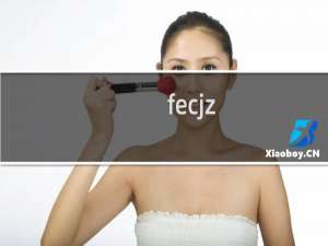 fecjz.cn主机没找到