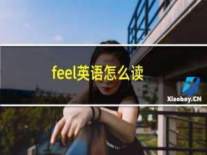 feel英语怎么读