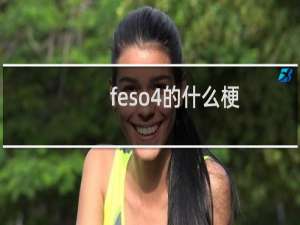 feso4的什么梗