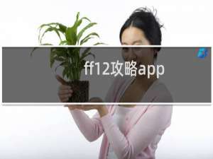 ff12攻略app