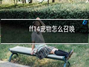 ff14宠物怎么召唤