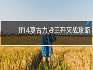 ff14莫古力贤王歼灭战攻略