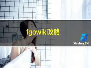 fgowiki攻略