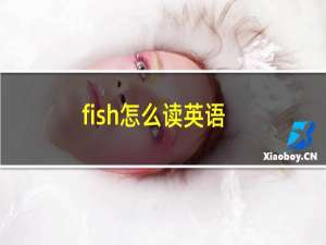 fish怎么读英语