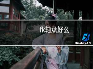 fk轴承好么