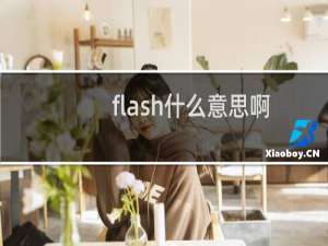 flash什么意思啊