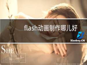 flash动画制作哪儿好