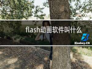 flash动画软件叫什么