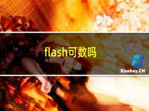 flash可数吗