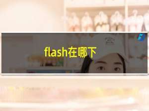 flash在哪下