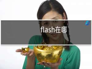 flash在哪