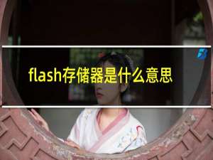 flash存储器是什么意思